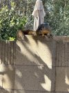 IMG_2134.jpeg