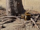 IMG_2137.jpeg