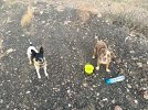 IMG_8193.jpeg