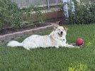 IMG_6817.jpeg