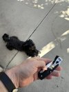 IMG_7273.jpeg