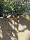 IMG_2139.jpeg