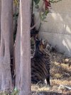 IMG_2140.jpeg
