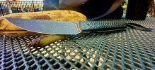 IMG_0587.jpeg