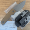 NoSlot DkSW Coyote zBF0911.png NoSlot DkSW Coyote zBF0911.png