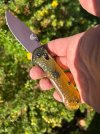 IMG_7942.jpeg