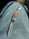 IMG_1493.jpeg