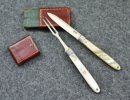 Fruit Knife Cased A (1200x927).jpg