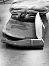 IMG_7069.jpeg