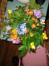 IMG_20250913_150747682.jpg