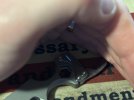 IMG_8250.jpeg