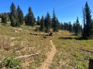IMG_1751.jpeg