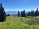 IMG_1713.jpeg