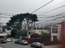 IMG_2749.jpeg