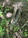IMG_2419.jpeg