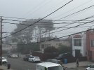 IMG_2757.jpeg