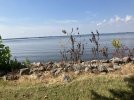 IMG_1520.jpeg