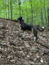 IMG_0310.jpeg