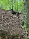IMG_0309.jpeg