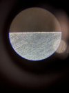 IMG_6890.jpeg