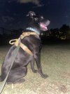 IMG_9415.jpeg
