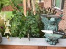IMG_1445.jpeg