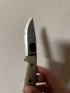 IMG_7937.jpeg