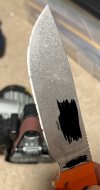 IMG_7953.jpeg