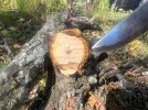 IMG_0272.jpeg