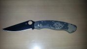 Spydie Mili.jpg