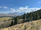 IMG_3456.jpeg