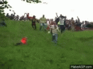 fall.gif