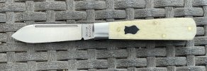 IMG_3479.jpeg