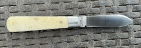 IMG_3486.jpeg