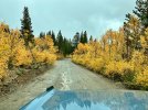 IMG_3514.jpeg