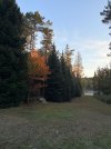 IMG_5276.jpeg