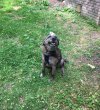 IMG_2399.jpeg