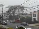 IMG_2795.jpeg