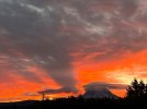 IMG_3898.jpeg
