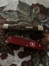 IMG_1559.jpeg