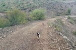 IMG_8328.jpeg