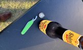 IMG_8460.jpeg