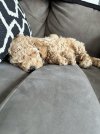IMG_4668.jpeg