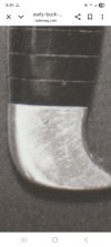 1000019886.jpg