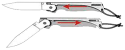 1000036217.png