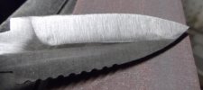 DSCF2550.jpg