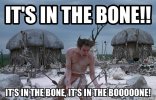 bone.jpg