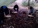 IMG_20141018_163302.jpg