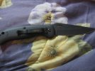 IMG_1153.jpg