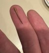 IMG_6036.jpeg